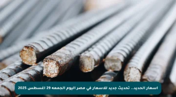 أسعار الحديد.. تحديث جديد للأسعار في مصر اليوم الجمعة 29 أغسطس 2025